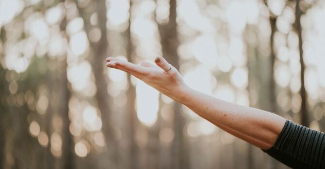 Physiotherapy Follow Up